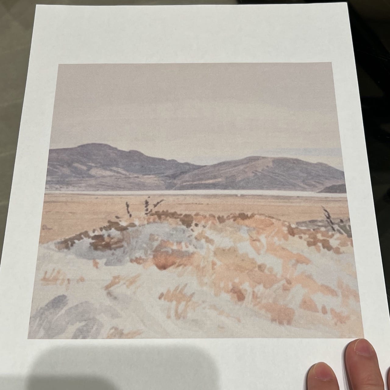 Printed SynthID marked image